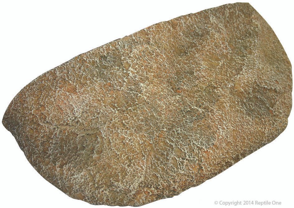 30329.jpg Dyno Rock Climbing Ledge Small