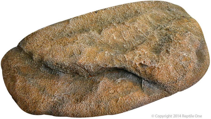 30330.jpg Dyno Rock Climbing Ledge Large