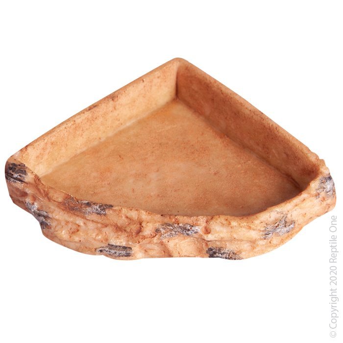 30338.jpg Reptile One Corner Bowl 9.5×9.5×2.3cm