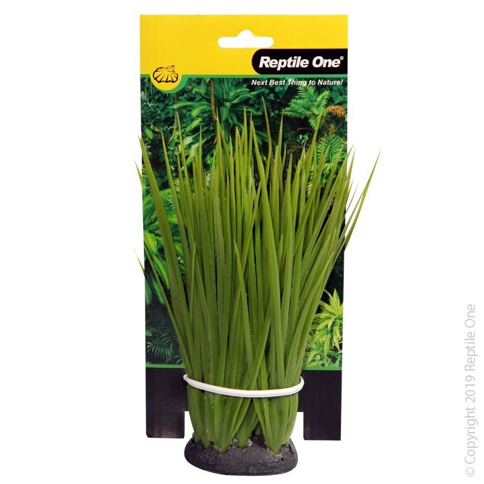 46791-P.jpg Spinifex Grass Green 18cm