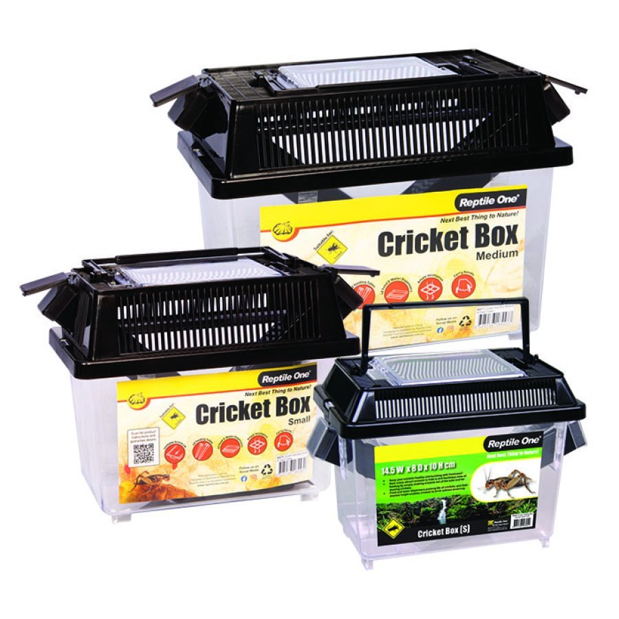 CRICKET-3.jpg Cricket Box Small with Feeder Tube