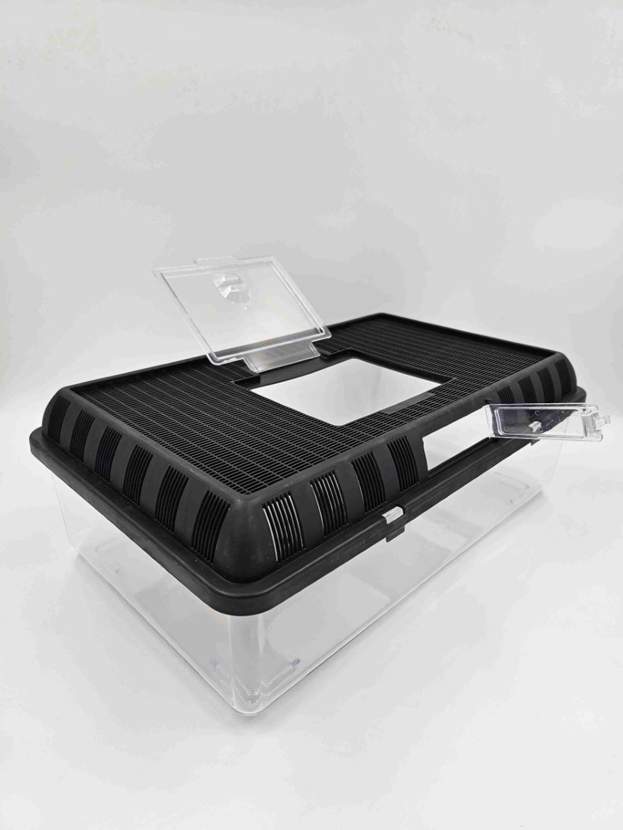 RHCTLMAIN-scaled-1.jpg Plastic Critter Tub Large – Transport Tub